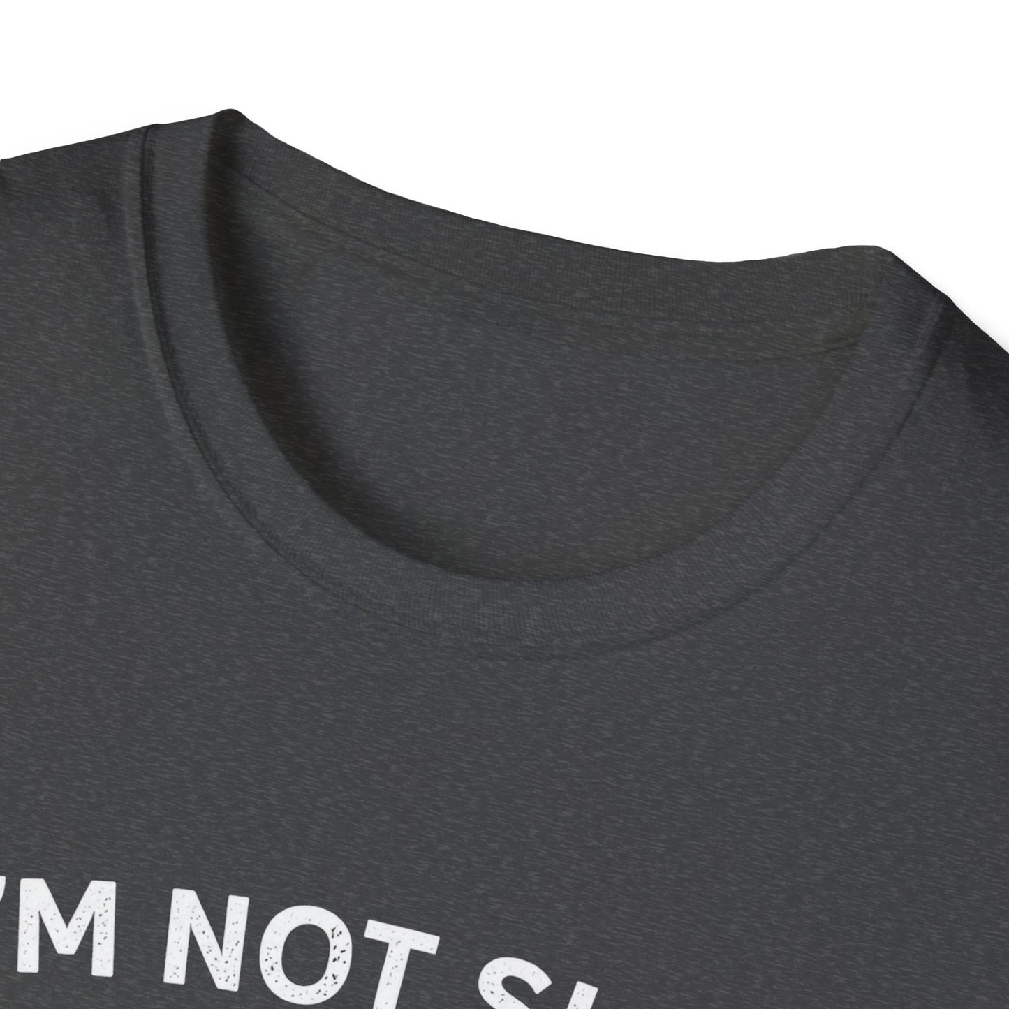I'm not Slow  T-shirt
